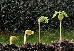 grow apart